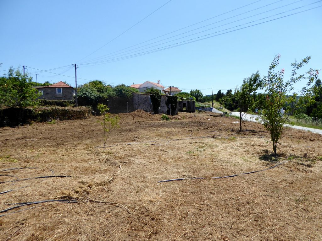 Land plot for house construction